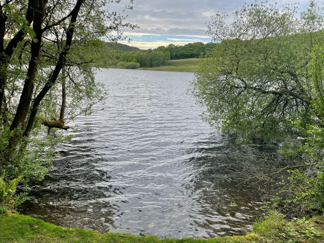 Photo of Ogden Res