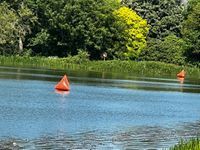 Falcon Open Water Swiming