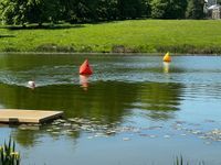 Photo 4 of Falcon Open Water Swiming