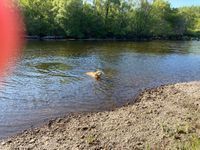 Photo 3 of River Oich