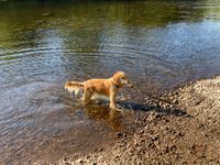 Photo 2 of River Oich