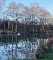 Caen Meadow, Wroxham