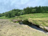 Photo 2 of Slippery stones