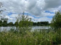 Photo 4 of Midlands Open Water