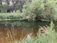 Photo 4 of Santon Downham, Little Ouse