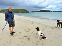 Photo 2 of Reef beach