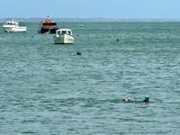 Photo 5 of Monkey Beach Swanage