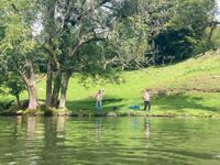 Photo 4 of Loughrigg Tarn