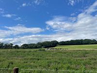 Photo 3 of Pick Mere lake