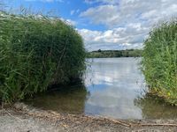 Photo 2 of Pick Mere lake