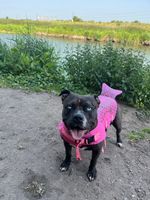 Photo 3 of Anchor Church