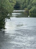 Photo 4 of Ingleby to Swarkstone swoosh