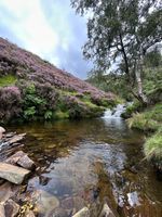 Photo 3 of Snake Pass