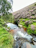 Photo 2 of Snake Pass