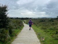 Boardwalk from NT  car park to beach