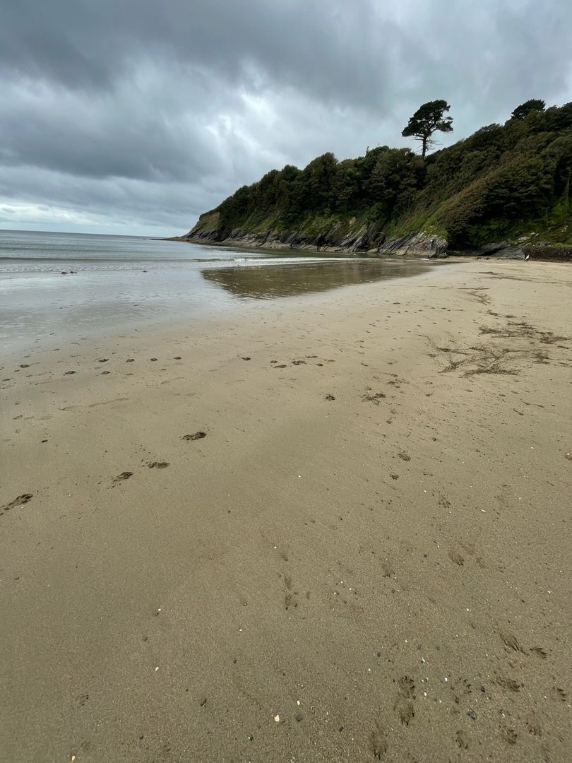 Photo of Porthluney Beach