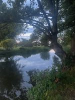 Photo 4 of Denford Cutting