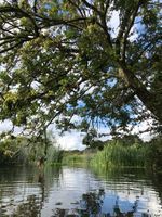 Photo 5 of Homersfield, River Waveney