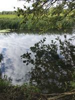 Photo 3 of Homersfield, River Waveney