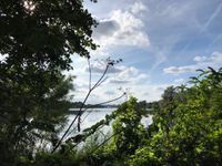 Photo 3 of Whittlingham country park