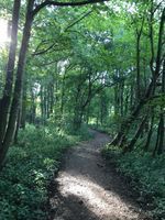 Photo 4 of Whittlingham country park