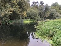 Photo 2 of River Nene near whiston lock