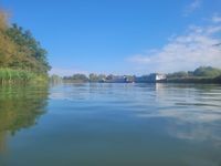 Photo 5 of Thames swim (Newbridge)