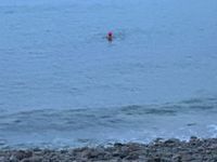 Photo 5 of Petit Bôt