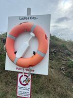 Photo 2 of Ladies' Bay