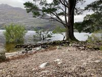 Photo 5 of Loch Maree in Beinn Eighe national nature reserve