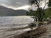 Photo 3 of Loch Maree in Beinn Eighe national nature reserve