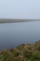 Photo 2 of Dean Mills