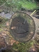 Photo 3 of Hindhope Linn