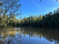 Photo 3 of Barefoot and Bower