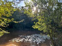 Photo 2 of Barefoot and Bower