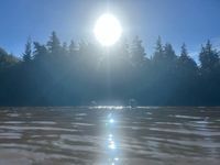 Photo 4 of Barefoot and Bower