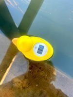 Photo 3 of Pool Bridge Farm