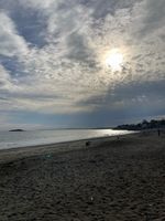 Photo 4 of Devereaux Beach