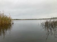 Photo 5 of 'Carolines' at RSPB St Aidan's (Bowers Lake)