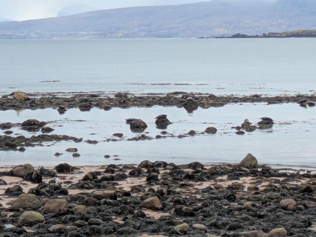 Photo of Gruinard Bay