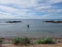 Photo 5 of The Boatshore