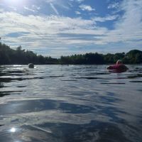 Lynford Water Public Lake