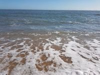 Photo 5 of Russel Road Morning Dippers