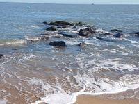 Photo 3 of Russel Road Morning Dippers