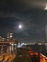 Photo 5 of Love Open Water- Royal Victoria Docks