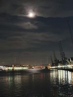 Photo 4 of Love Open Water- Royal Victoria Docks