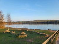 Thrybergh Country Park