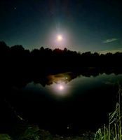 Photo 3 of Booker’s Pond