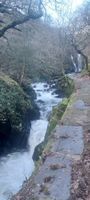 Photo 4 of Ceunant Mawr Waterfall
