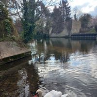 Brandon Little Ouse Bridge